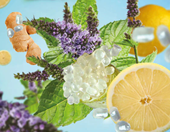 Erfrischende Zitrone | Citron Tonique