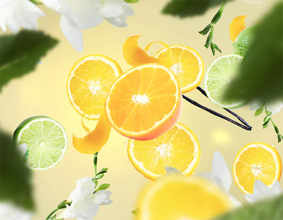 Florida Orange | Orange Extrême