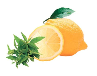 Belebende Frische - Zitronen Verbene | Zeste de Verveine