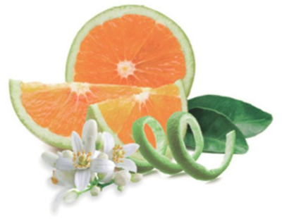 Prickelnde Orangenzesten | Zeste D'Orange Verte