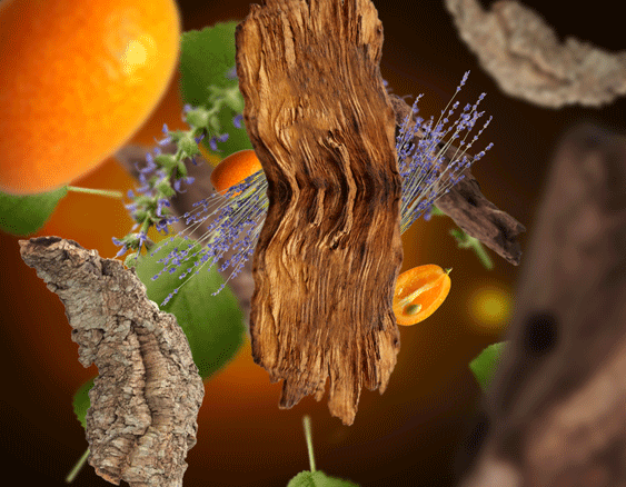 Edles Holz | Bois Sauvage