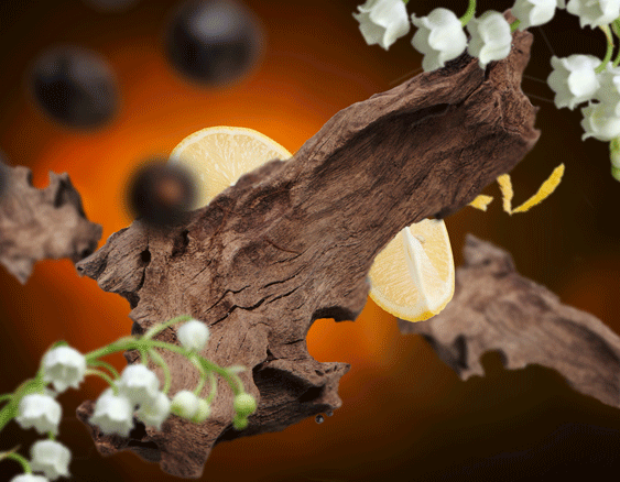 Orientalisches Holz | Bois d'Orient