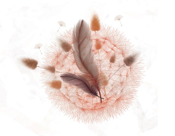 Aroma Dream | Délicatesse Ambrée
