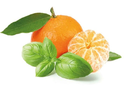 Spritzige Mandarine | Mandarine Aromatique