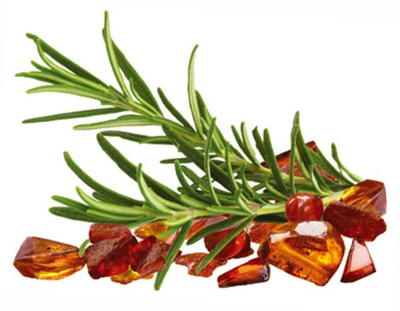 Erlesener Amber | Elégance Ambrée