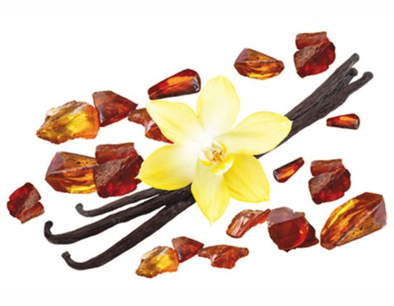Amber | Poussière d'Ambre