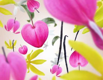 Aroma Love | Fleur Gourmande