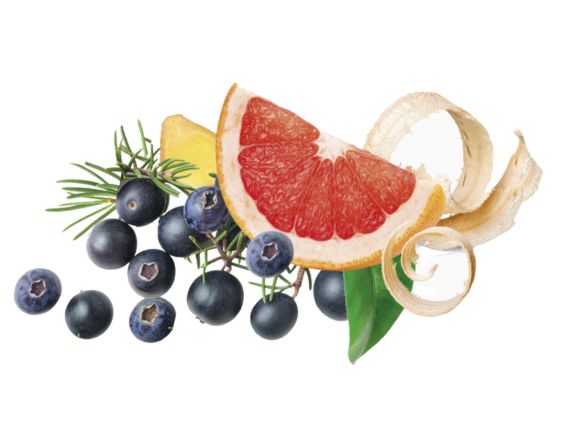 Fresh Spirit
