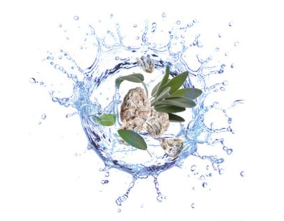 Luftige Frische | Aqua Céleste