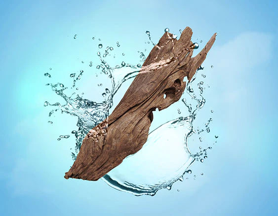 Frisches Treibholz | Bois d'Eau