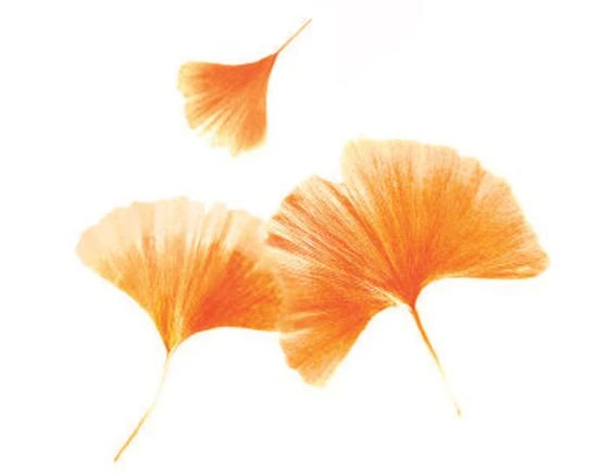 Aroma Energy | Zestes Toniques