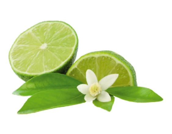 Zitronenblüte | Fleur de Citronnier