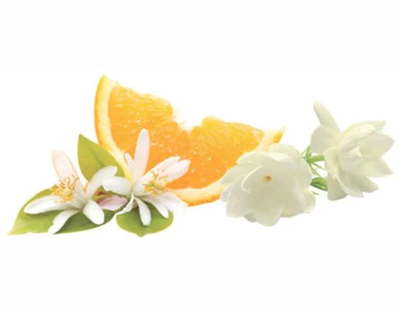 Orangenblüte | Fleur d'Oranger