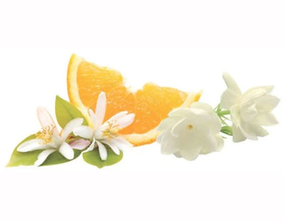 Orangenblüte | Fleur d'Oranger