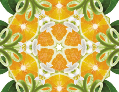 Prickelnde Orangenzesten | Zeste D'Orange Verte