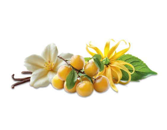 Sonnige Früchte | Soleil Fruité