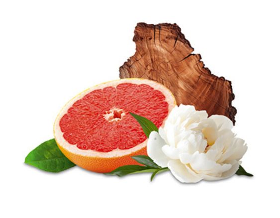 Strahlende Pampelmuse | Douceur de Pamplemousse