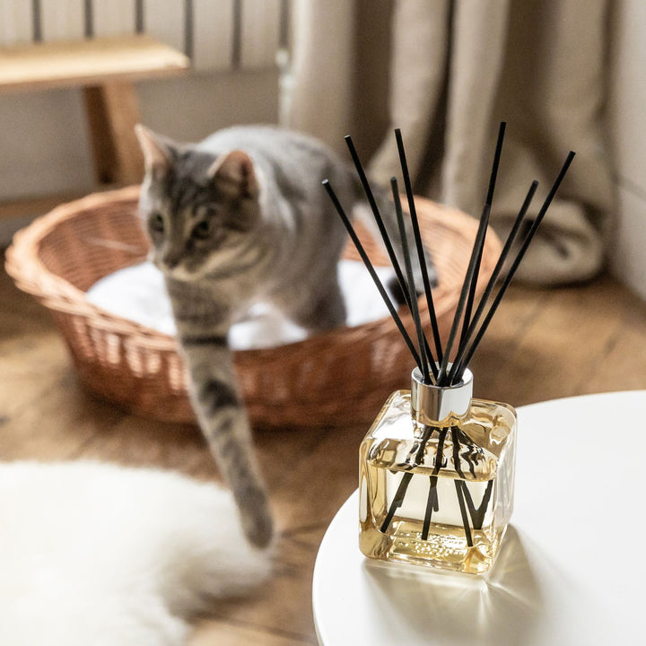 Stäbchenduft Mein Zuhause ohne Tiergerüche von Maison Berger