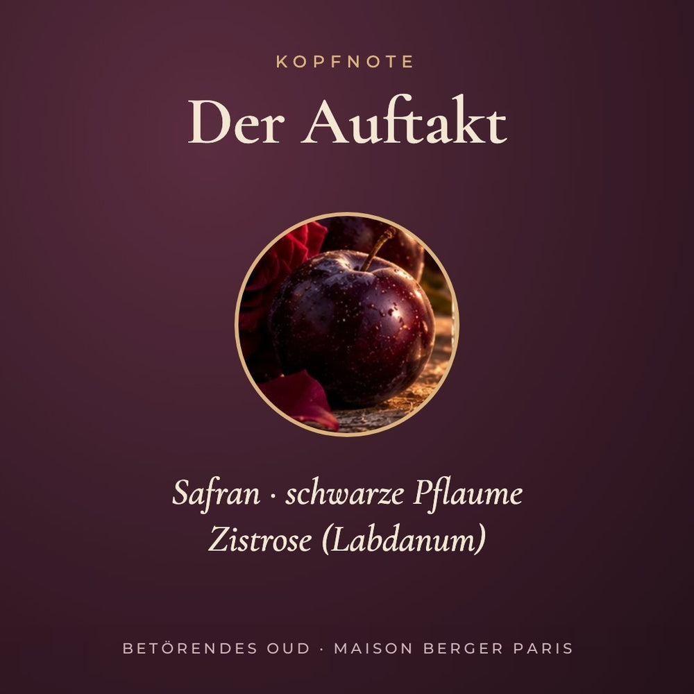 Betörendes Oud Kopfnote: Safran, schwarze Pflaume, Zistrose