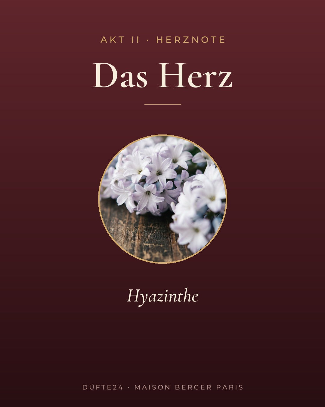 Winterliche Freuden Duft Herznote: Hyazinthe