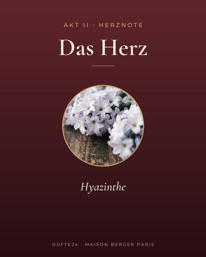 Winterliche Freuden Duft Herznote: Hyazinthe