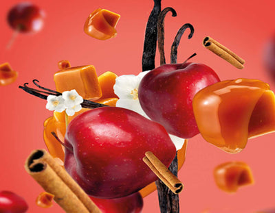 Stäbchenduft Refill Kandierter Apfel | Pomme Sucrée 200 ml Raumduft von für Maison Berger