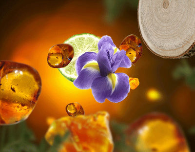 Raumduft Élégance Ambrée / Amber Elegance von Maison Berger Paris
