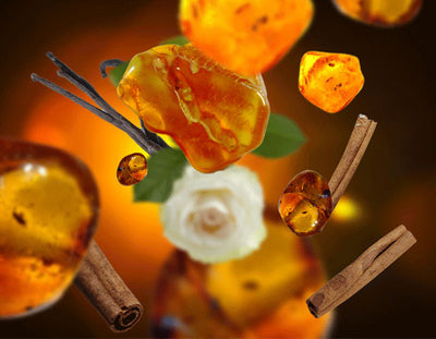 Duftkerze Clarity - Amber 180 g von Maison Berger