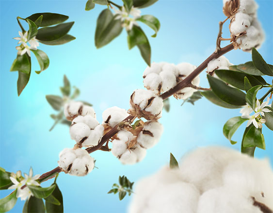 Raumduft Caresse de Coton / Cotton Caress von Maison Berger Paris