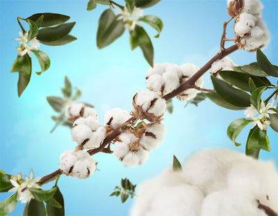 Raumduft Caresse de Coton / Cotton Caress von Maison Berger Paris