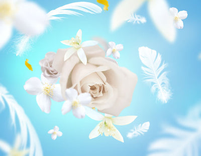 Raumduft Délicat Musc Blanc / Delicate White Musk von Maison Berger Paris