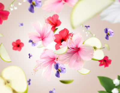 Raumduft Amour d'Hibiscus / Hibiscus Love von Maison Berger Paris