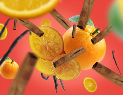 Stäbchenduft Refill Orange-Zimt | Orange de Canelle 400 ml Raumduft von Maison Berger