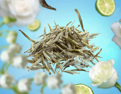 Raumduft Thé Blanc Pureté / Pure White Tea von Maison Berger Paris