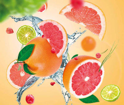 Raumduft Envolée d'Agrumes / Citrus Breeze von Maison Berger Paris