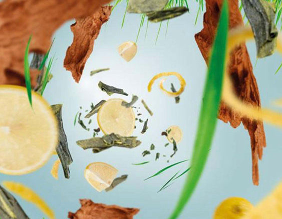 Stäbchenduft Cube Köstlicher Grüner Tee von Maison Berger