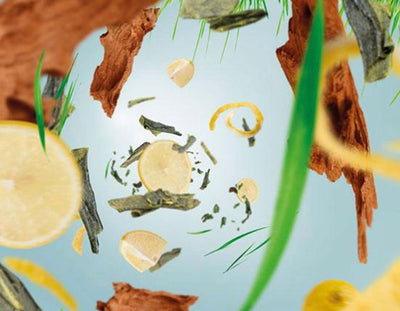 Stäbchenduft Cube Köstlicher Grüner Tee von Maison Berger
