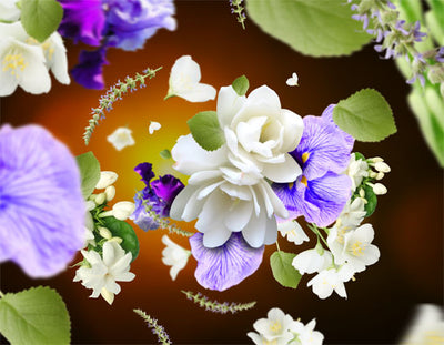 Zarte Moschusblüte / Fleurs de Musc 500 ml von Lampe Berger